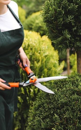 Pretty smiling woman redhead gardener with curly hair standing in apron and holding big garden scissors loppers pruners hedge clippers gardening tools sharpening